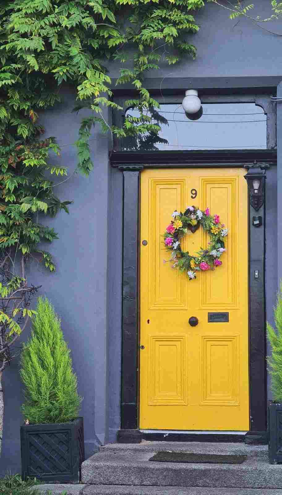 Front door of a Dublin home
